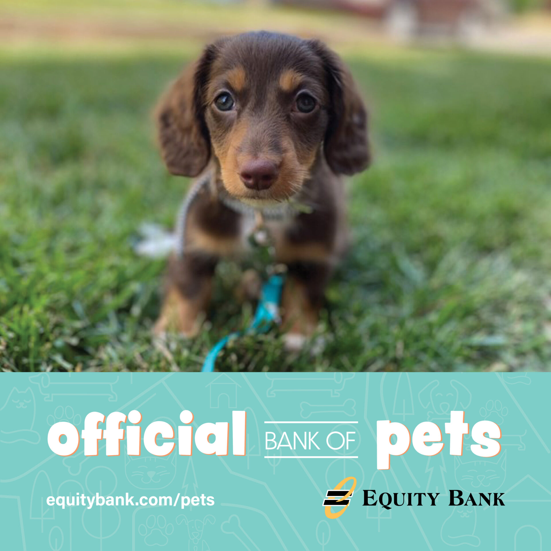 official bank dog 2022